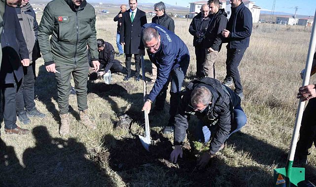 Kars'ta fidanlar toprakla buluştu
