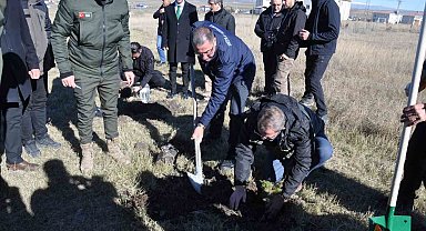 Kars'ta fidanlar toprakla buluştu