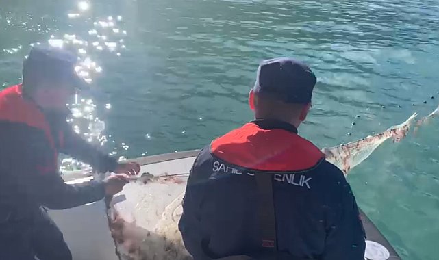 Kastamonu'da denizden bin 100 metre uzunluğunda kaçak ağ çıkartıldı