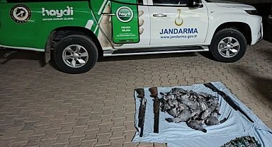 Katlettikleri hayvanların bedeli ağır oldu