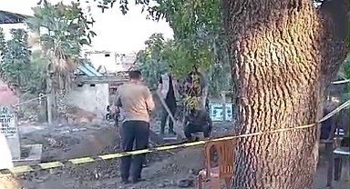 Kazılan mezarda bulunan küpten 500'den fazla sikke çıktı