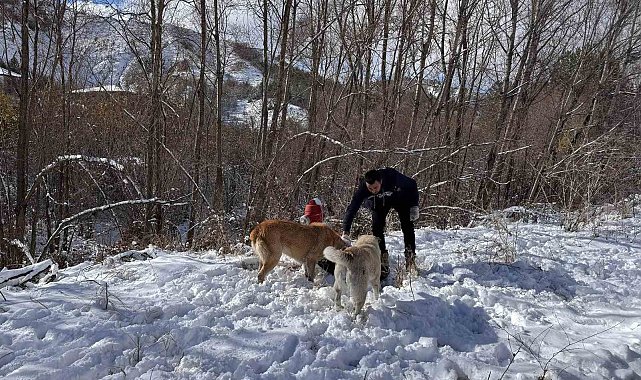 Keçiören Belediyesi, sokak hayvanlarını unutmadı