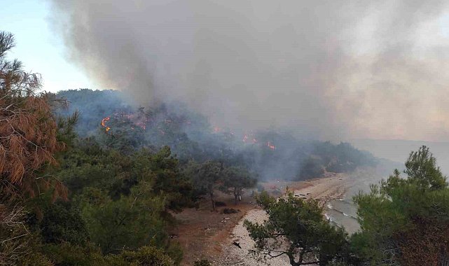 Keşan'da ormanlık alanda çıkan yangın kontrol altına alındı