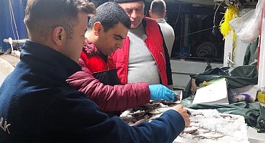 Kırklareli'nde balıkçılar denetlendi