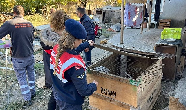 Kırklareli'nde yasaklı ırk köpek besleyen kişiye 317 bin 544 lira ceza