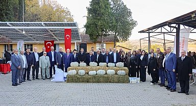 Kızıldamlar Kestane Kabağı Festivali'ne coşkulu kutlama