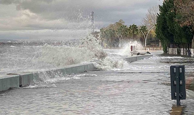 Kocaeli'de deniz taşarken 2 tekne battı, ağaçlar ise yerlerinden söküldü