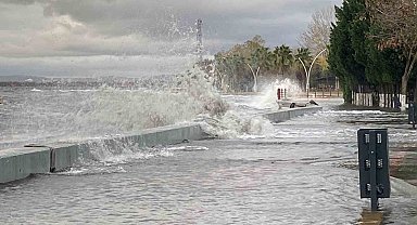 Kocaeli'de deniz taşarken 2 tekne battı, ağaçlar ise yerlerinden söküldü