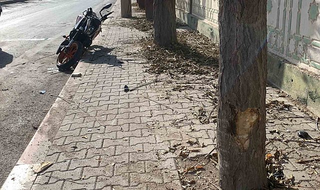 Kontrolden çıkan motosiklet ağaçlara çarparak savruldu: 2 yaralı