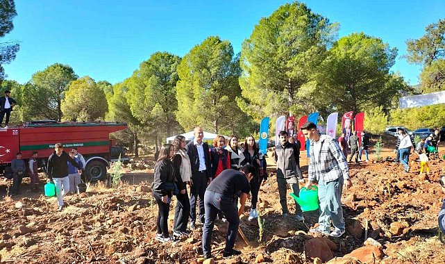 Köyceğiz'de bin 111 fidan dikildi