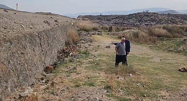 Küçükbaş hayvan sürüsünün arasında otomobil daldı: 17 hayvan telef oldu