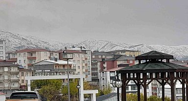 Kulp ilçesinde kar yağışı