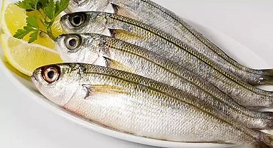 Kupes ile sardalya balığı gıda amaçlı tescillendi