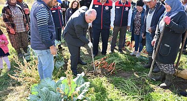 Lezzetiyle meşhur Çakır havucunda hasat başladı