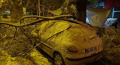 Malatya'da kardan kırılan ağaç dalları araçların üzerine devrildi