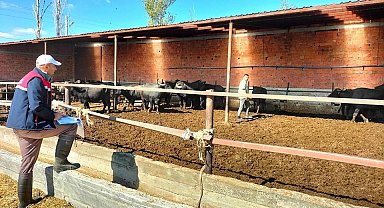 Mandalara küpeleme işlemi yapıldı