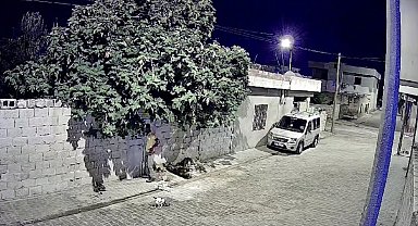 Mardin'de tavuk hırsızlığı güvenlik kamerasına yansıdı