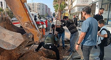 Mardin'de ağaç kesenler fidan dikti