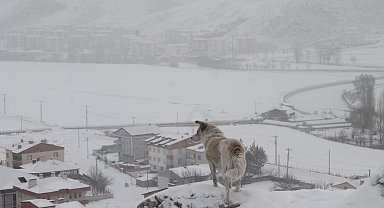 Meteoroloji'den Bayburt için kar yağışı uyarısı