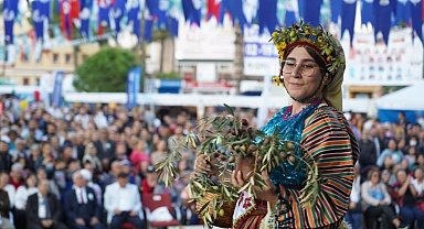 Milas'ta zeytin hasat şenliği için geri sayım başladı
