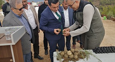 Milli Ağaçlandırma Günü'nde karbon zengini tohumlar toprakla buluşturuldu