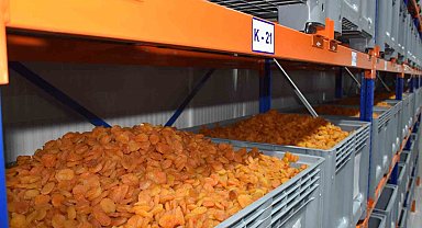 MTB Başkanı Özcan: "Kayısı ihracatında 100 bin tonu hedefliyoruz"