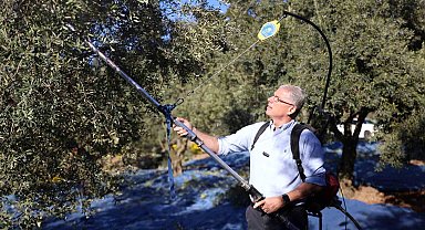 Mudanya Belediyesi zeytin üreticisinin yanında