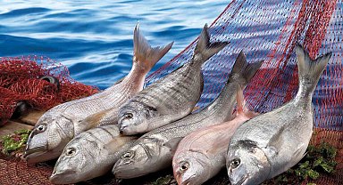Muğla, Ekim ayında 104,5 milyon dolar ihracat gerçekleştirdi