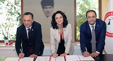 Muğla'da Sokak hayvanları kısırlaştırılarak sahiplendirilecek
