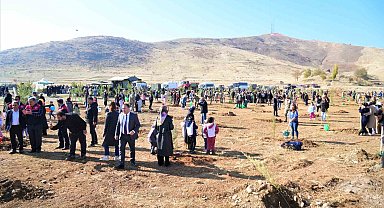 Muş'ta 11 bin fidan toprakla buluşturuldu