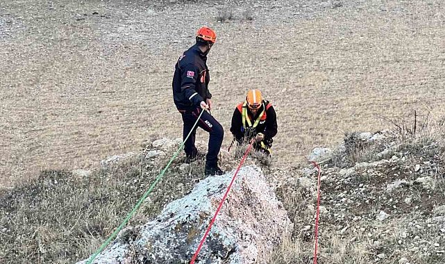 Muş'ta kayalıkta mahsur kalan keçiler kurtarıldı