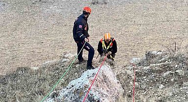 Muş'ta kayalıkta mahsur kalan keçiler kurtarıldı