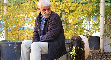 Muş'ta sıcak bir dostluk: Maşallah Aslan ve 'Fulya'nın hikayesi yürekleri ısıttı