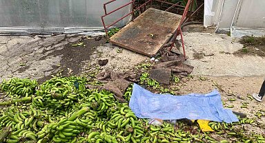 Muz serasında raylı sisteme ait kasanın halatı koptu, ortalık savaş alanına döndü: 2 ölü, 2 yaralı