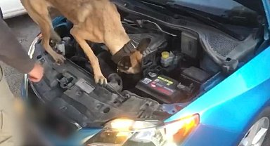 Narkotik Arama Köpeği 'Eta' tacirlere geçit vermedi: 2 gözaltı