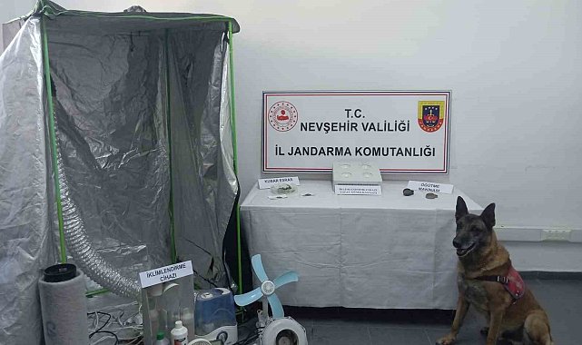 Nevşehir'de "Narkoçelik" operasyonu: 7 gözaltı