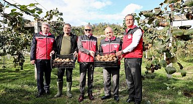 Ordu kivisi, ilin ekonomisine yaklaşık 300 milyon TL katkı sağlayacak