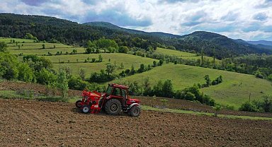 Ordu'da boş arazilerden bugün bereket fışkırıyor