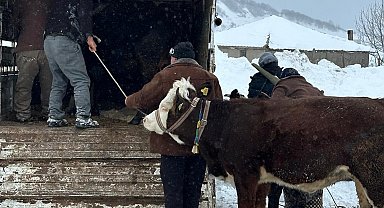 Ordu'da kar nedeniyle yaylada mahsur kalan vatandaşlar kurtarıldı