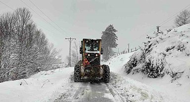 Ordu'da kar yağışı etkili oldu