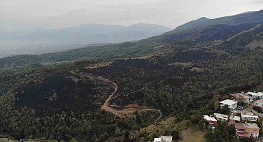 Orman yangınında küle dönen alan drone ile görüntülendi