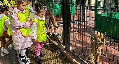 Osmangazi'de küçük hayvanseverlerden can dostlarına ziyaret