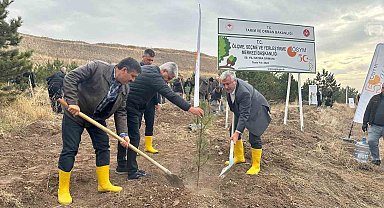 ÖSYM'nin 50'nci yılında, bin 500 fidan toprakla buluştu