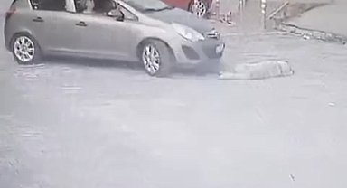 Otomobille köpeğin üzerinden geçti