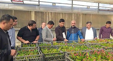 Özbek öğrencilere Ödemiş'te meyve fidancılığı eğitimi