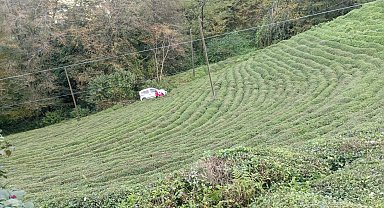 Rize'de araç çay bahçesine yuvarlandı