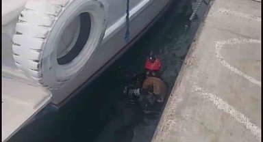 Sahil Güvenlik, iskele altında mahsur kalan kedi için kurtarma operasyon düzenledi