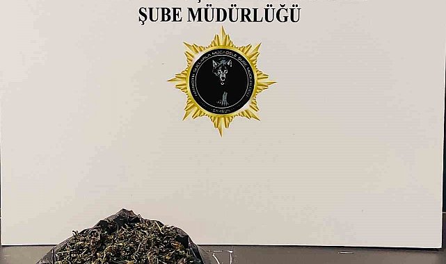 Samsun'da uyuşturucu operasyonu: 1 gözaltı