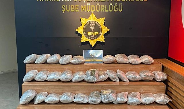 Şanlıurfa'da 29 kilogram skunk ele geçirildi: 1 gözaltı