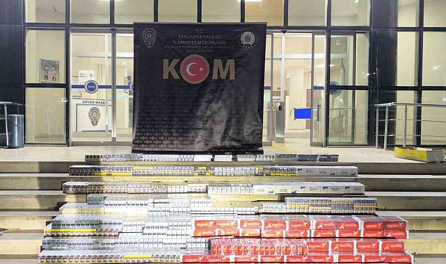 Şanlıurfa'da 8 bin paket kaçak sigara ele geçirildi